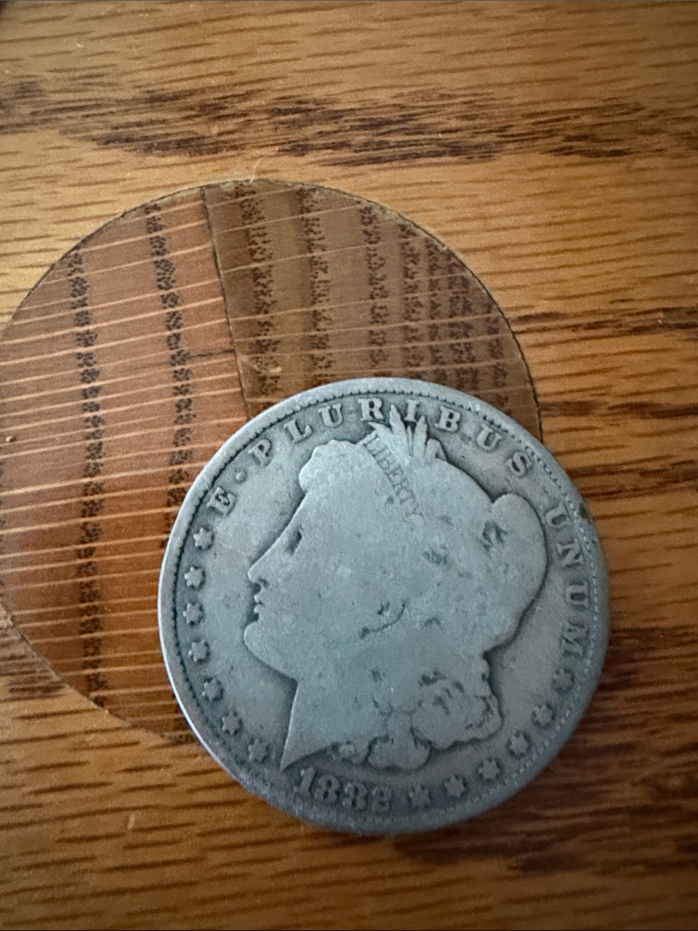 1882 Silver Coin